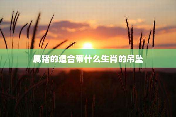 属猪的适合带什么生肖的吊坠