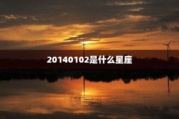 20140102是什么星座