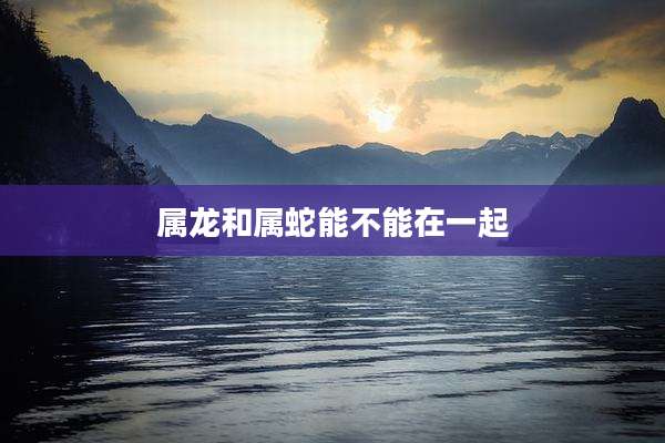 属龙和属蛇能不能在一起