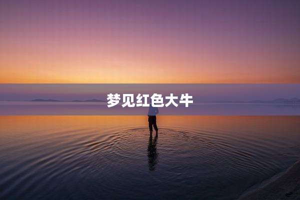 梦见红色大牛
