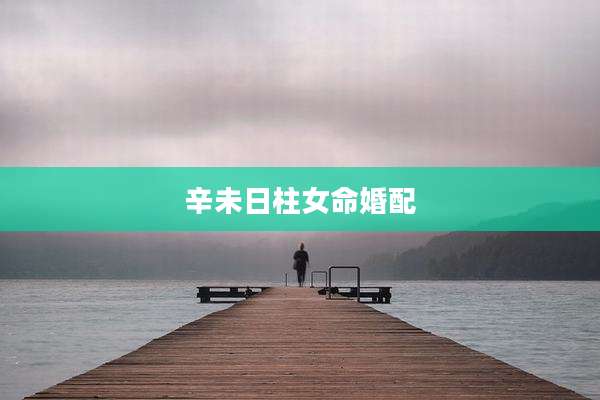 辛未日柱女命婚配