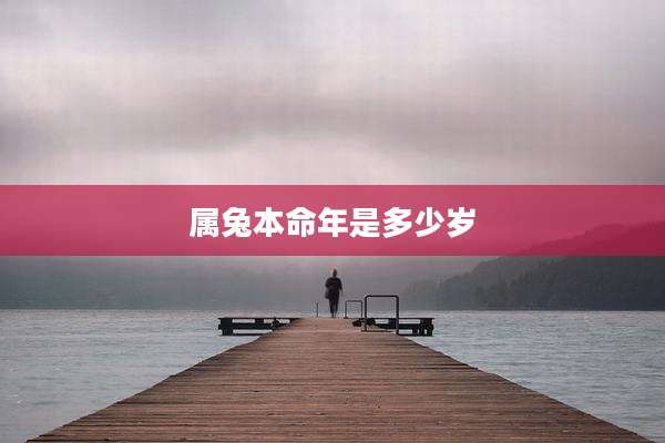 属兔本命年是多少岁