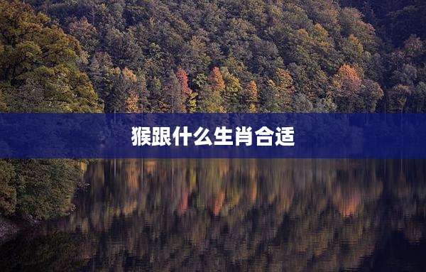 猴跟什么生肖合适