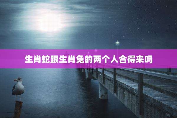 生肖蛇跟生肖兔的两个人合得来吗