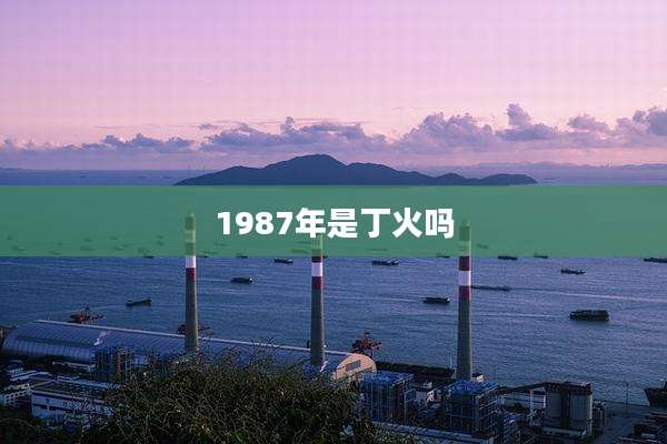 1987年是丁火吗