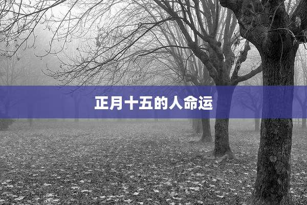 正月十五的人命运