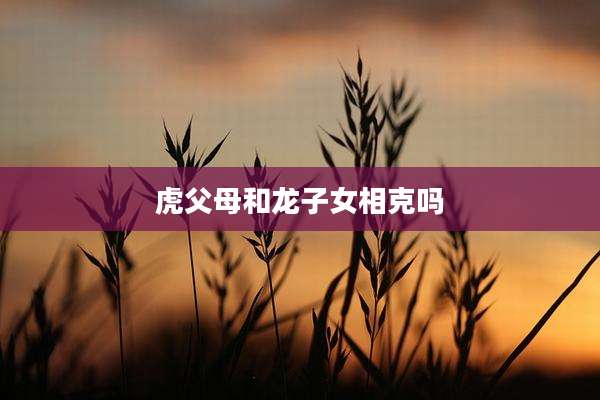 虎父母和龙子女相克吗