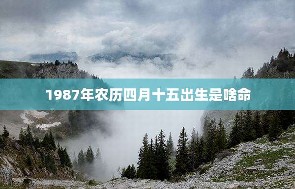 1987年农历四月十五出生是啥命