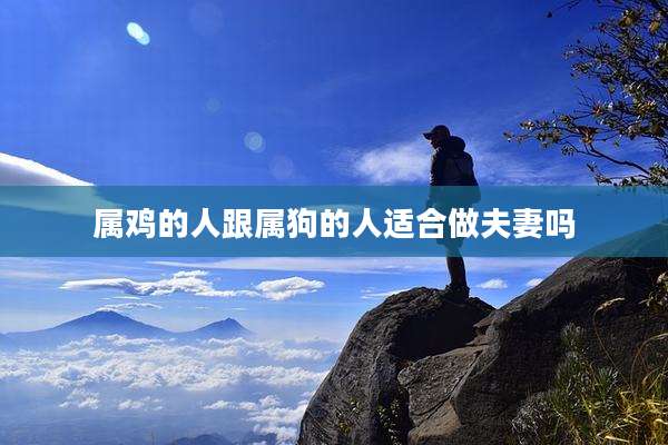 属鸡的人跟属狗的人适合做夫妻吗