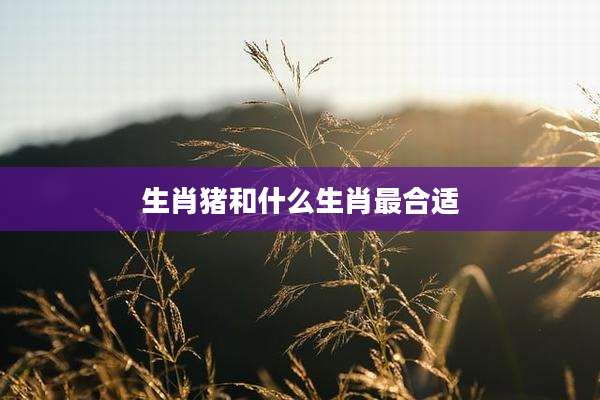 生肖猪和什么生肖最合适