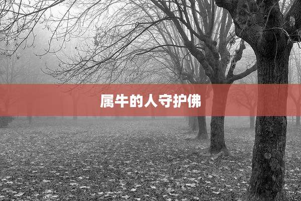 属牛的人守护佛