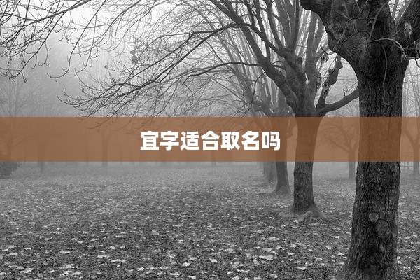 宜字适合取名吗