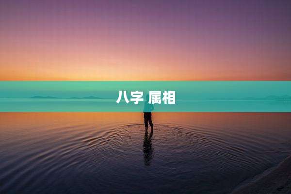 八字 属相