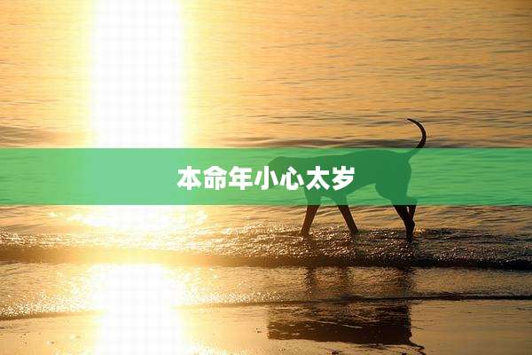 本命年小心太岁