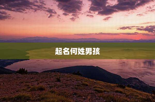 起名何姓男孩