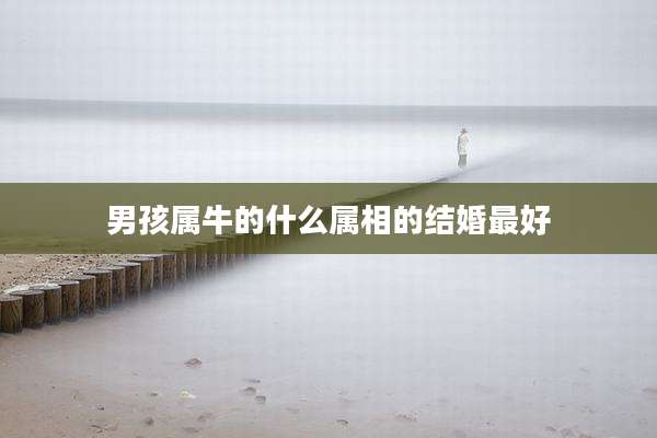 男孩属牛的什么属相的结婚最好