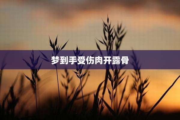 梦到手受伤肉开露骨
