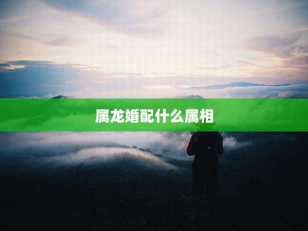 属龙婚配什么属相