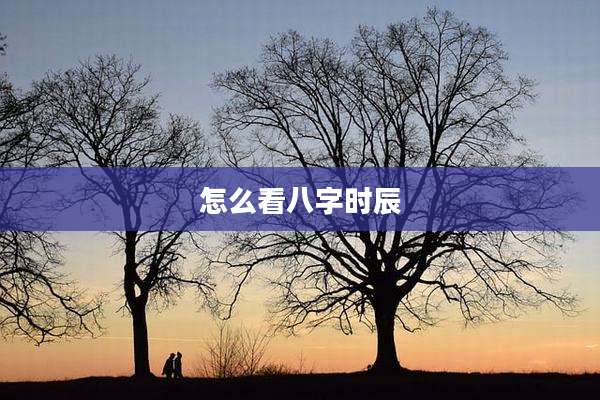 怎么看八字时辰