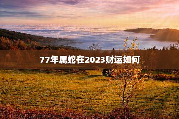77年属蛇在2023财运如何