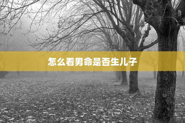 怎么看男命是否生儿子