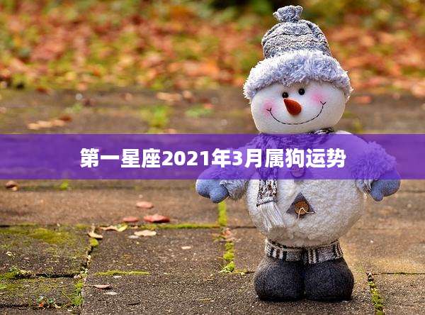 第一星座2021年3月属狗运势