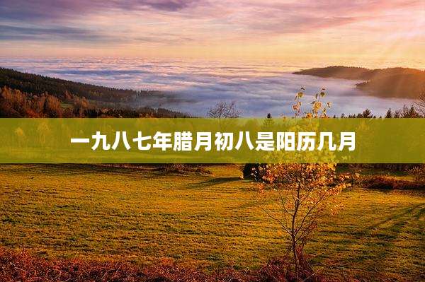 一九八七年腊月初八是阳历几月