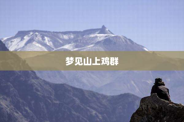 梦见山上鸡群