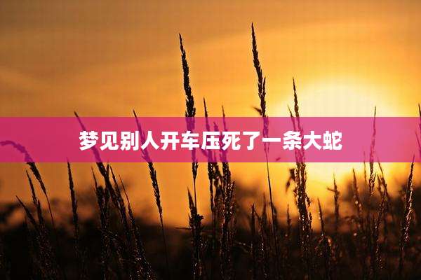 梦见别人开车压死了一条大蛇