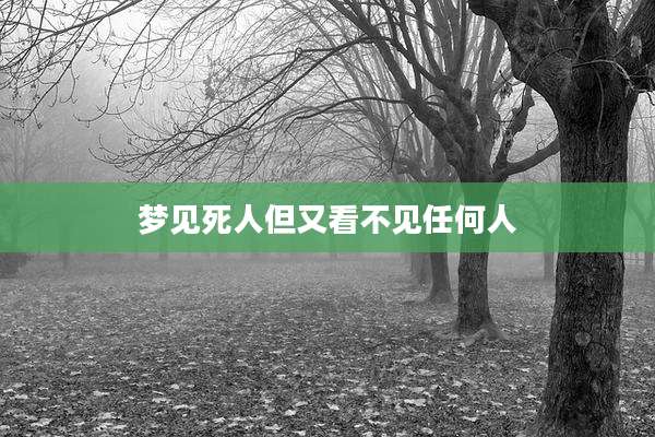 梦见死人但又看不见任何人