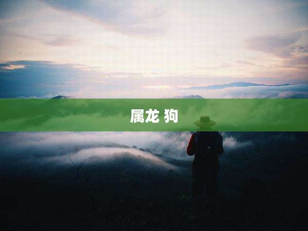 属龙 狗