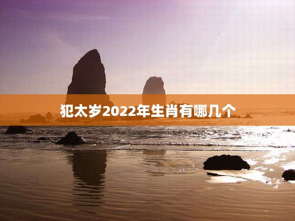 犯太岁2022年生肖有哪几个