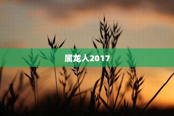 属龙人2017