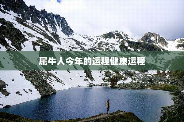 属牛人今年的运程健康运程