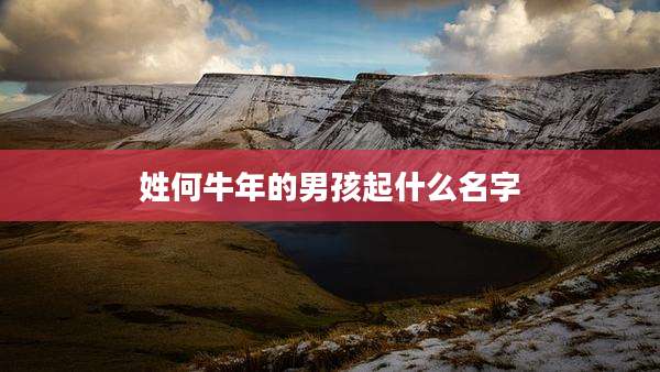 姓何牛年的男孩起什么名字
