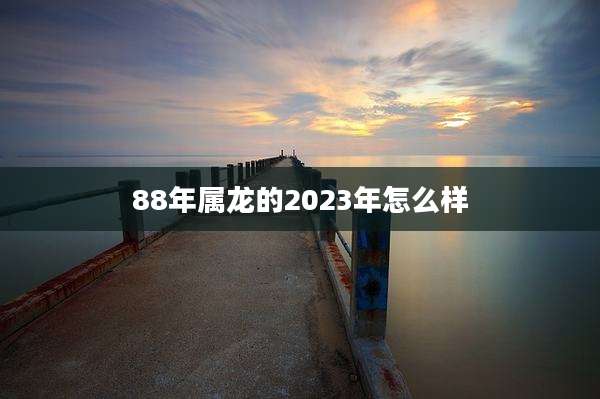 88年属龙的2023年怎么样