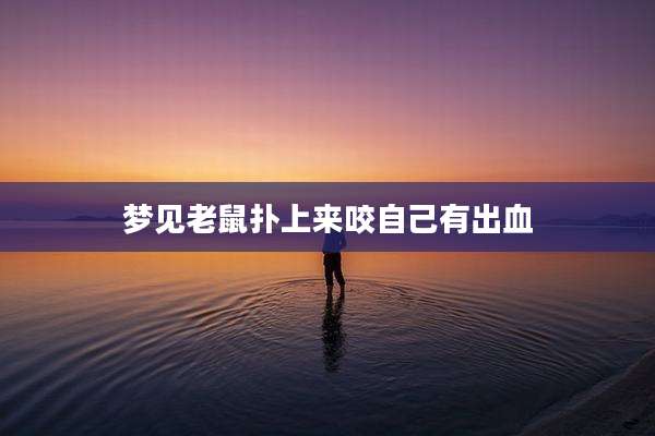 梦见老鼠扑上来咬自己有出血