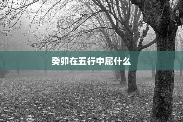 癸卯在五行中属什么