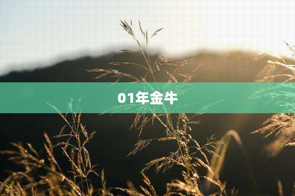01年金牛