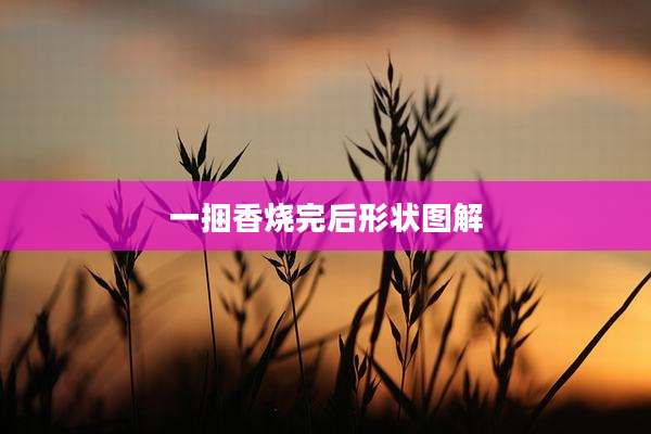 一捆香烧完后形状图解