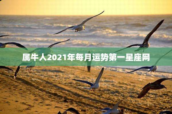 属牛人2021年每月运势第一星座网