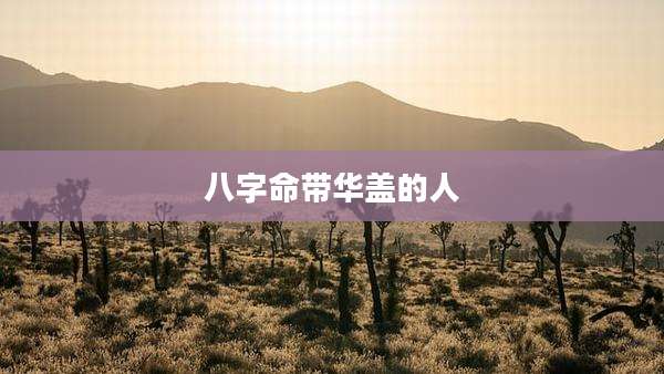 八字命带华盖的人