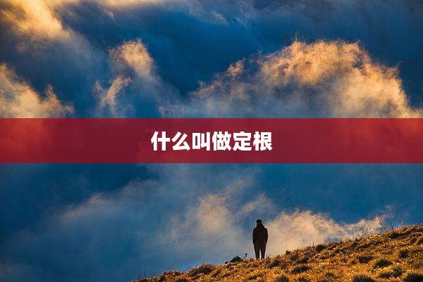 什么叫做定根