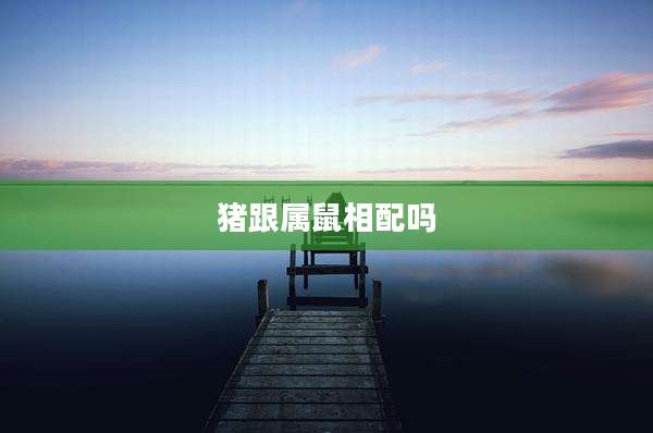 猪跟属鼠相配吗
