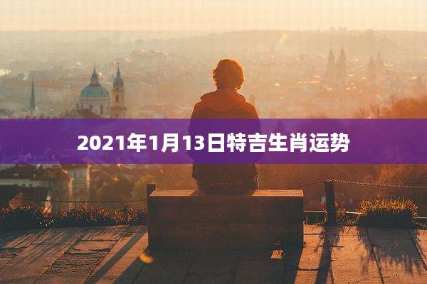 2021年1月13日特吉生肖运势