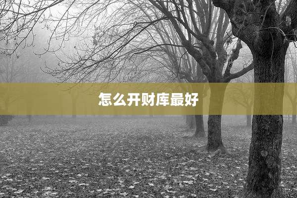 怎么开财库最好