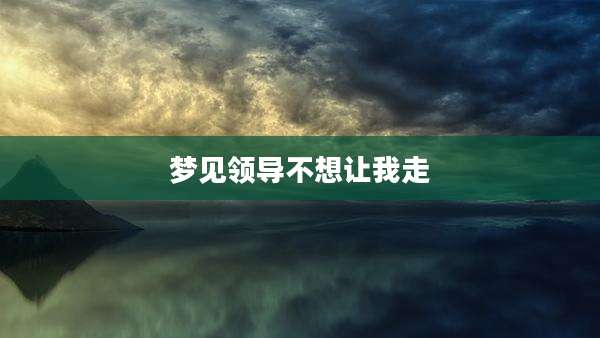 梦见领导不想让我走