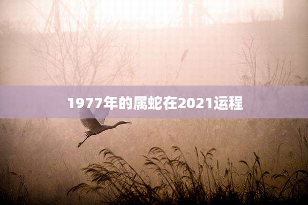 1977年的属蛇在2021运程