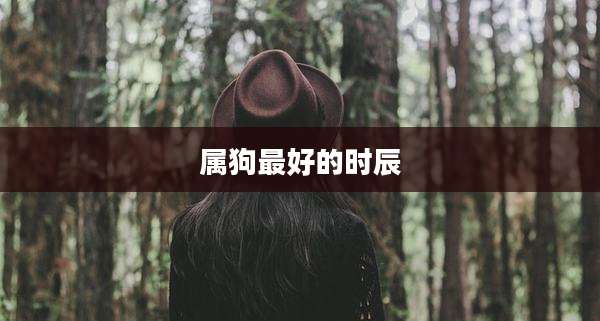 属狗最好的时辰