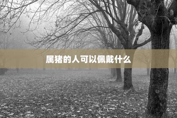 属猪的人可以佩戴什么